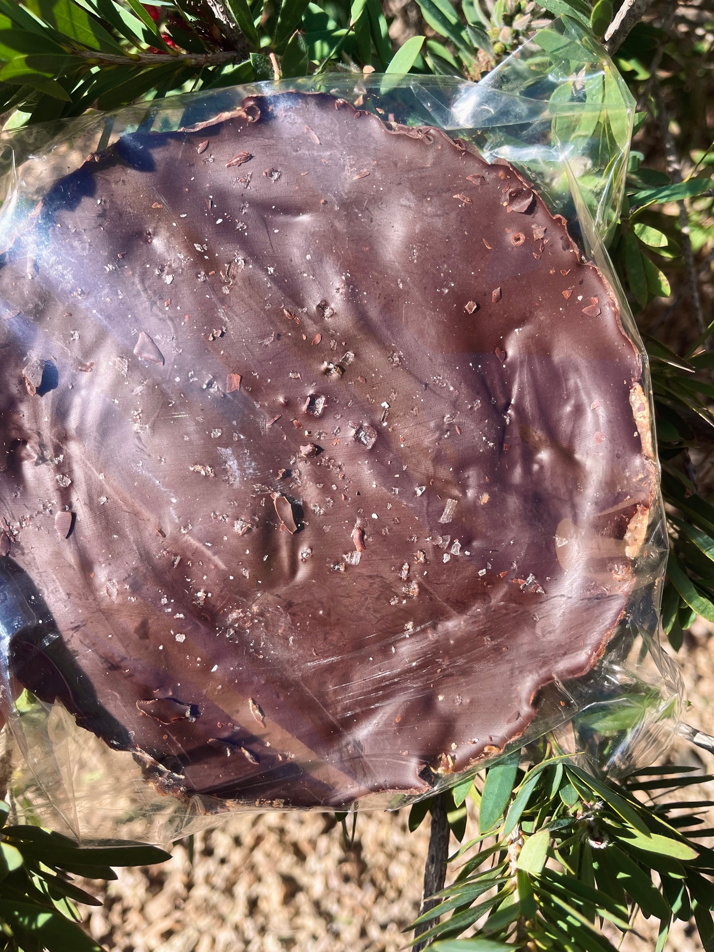 Snack Cake: Almond Butter Caramel (2-PACK)