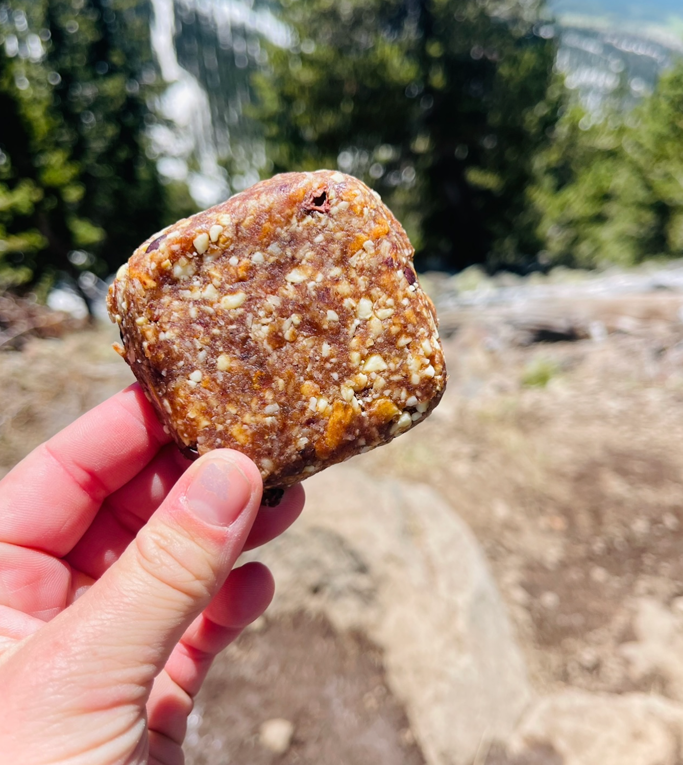 Energy Bars 12 Pack- APPLE PIE